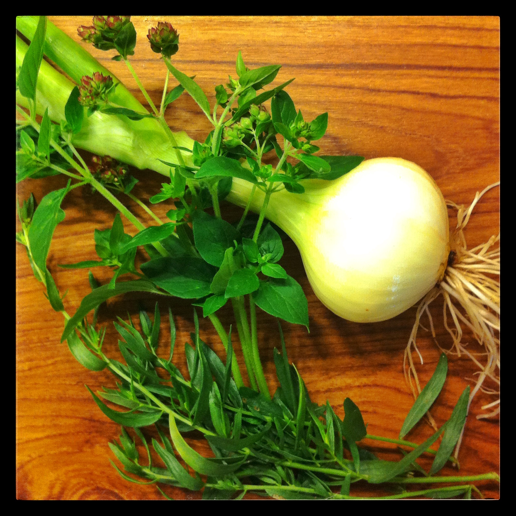 Oregano Sundhults Blogg Oregano Sundhults Blogg